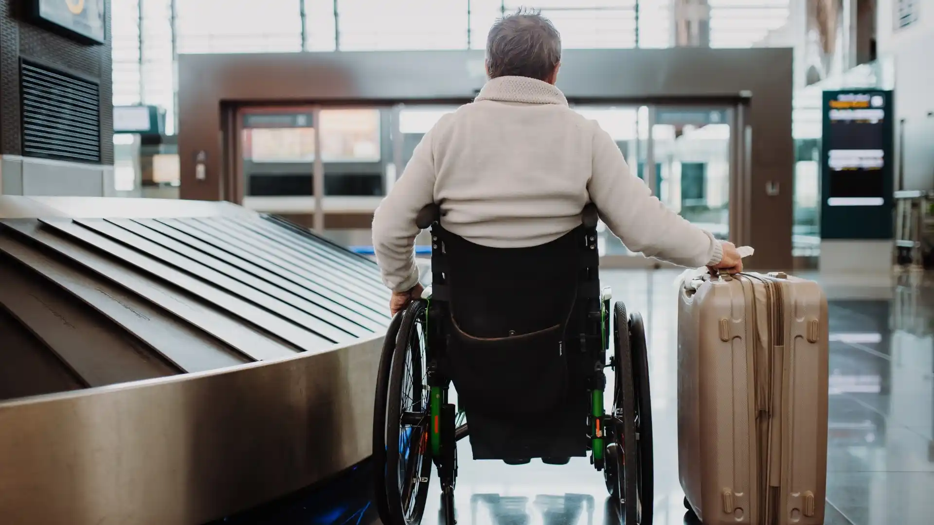 Air Baltic Rules for Traveling with Assistance Dogs
