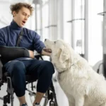 Vueling Airlines Wheelchair Assistance